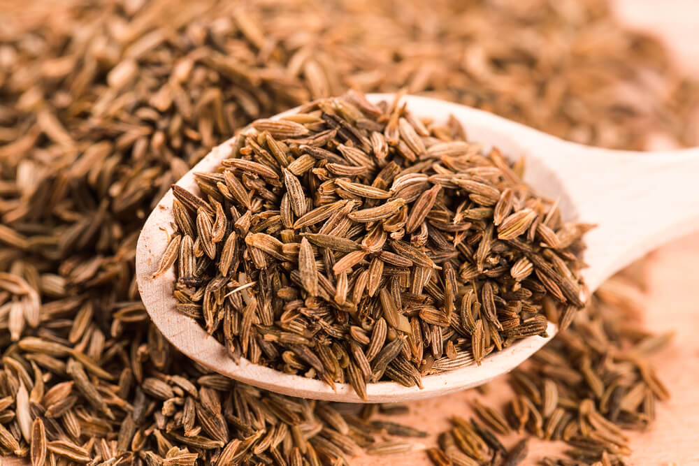 7 Benefits of Cumin Seed An Ancient Spice Euphoric Herbals