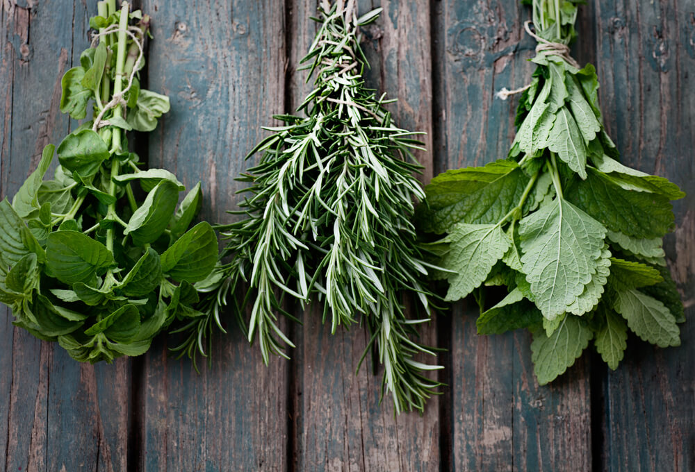 Natural Herbs and Extracts Provide Soothing Relief of Bed Sores - Blog