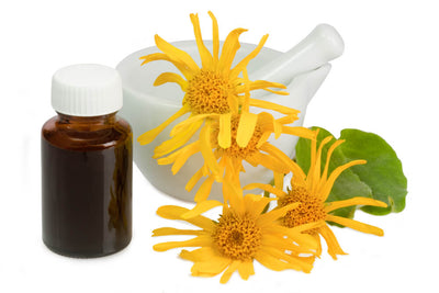 5 Benefits of Arnica for Pain, Bruises, and More