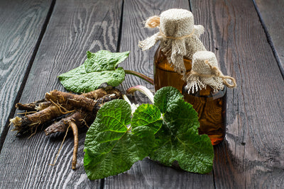 7 Cleansing and Healing Benefits of Burdock Root