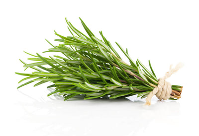 5+ Hidden Health Benefits of Rosemary