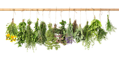 Best Herbs for Radiant and Healthy Skin