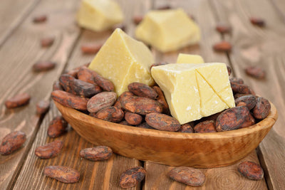 What Is Cocoa Butter? 8 Skincare Benefits & Uses