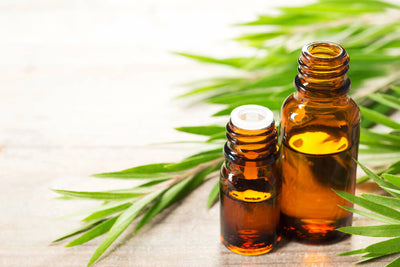 Herbs, Essential Oils, & Home Remedies for Acne