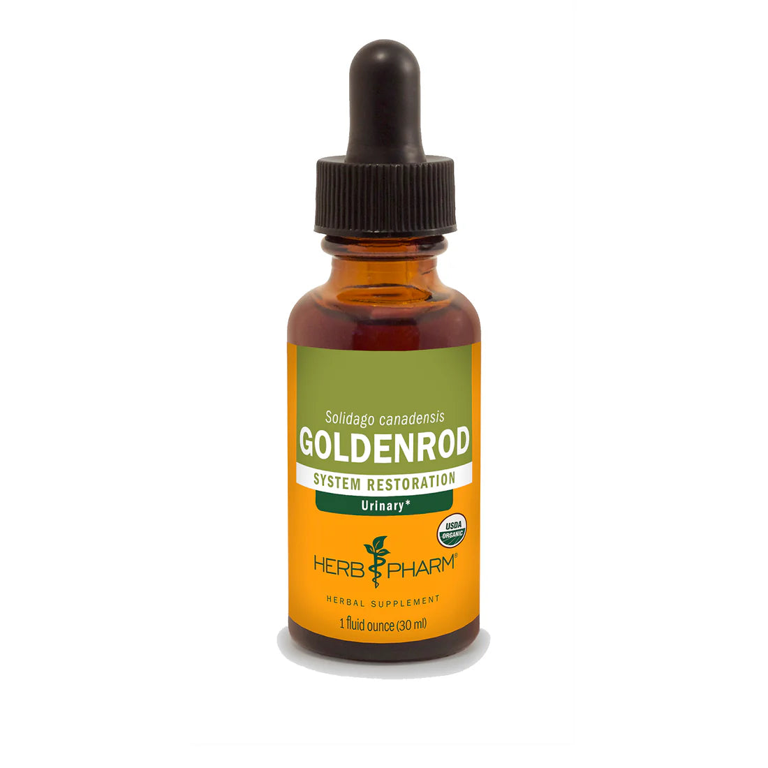 Goldenrod Extract