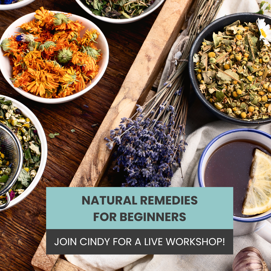 NATURAL_REMEDY_WORKSHOP