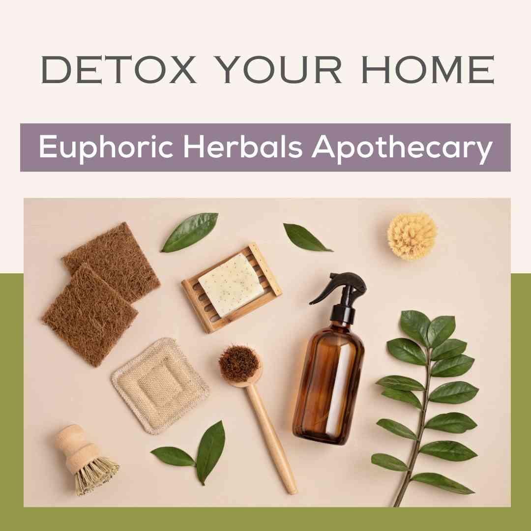 Detox Your Home Workshop